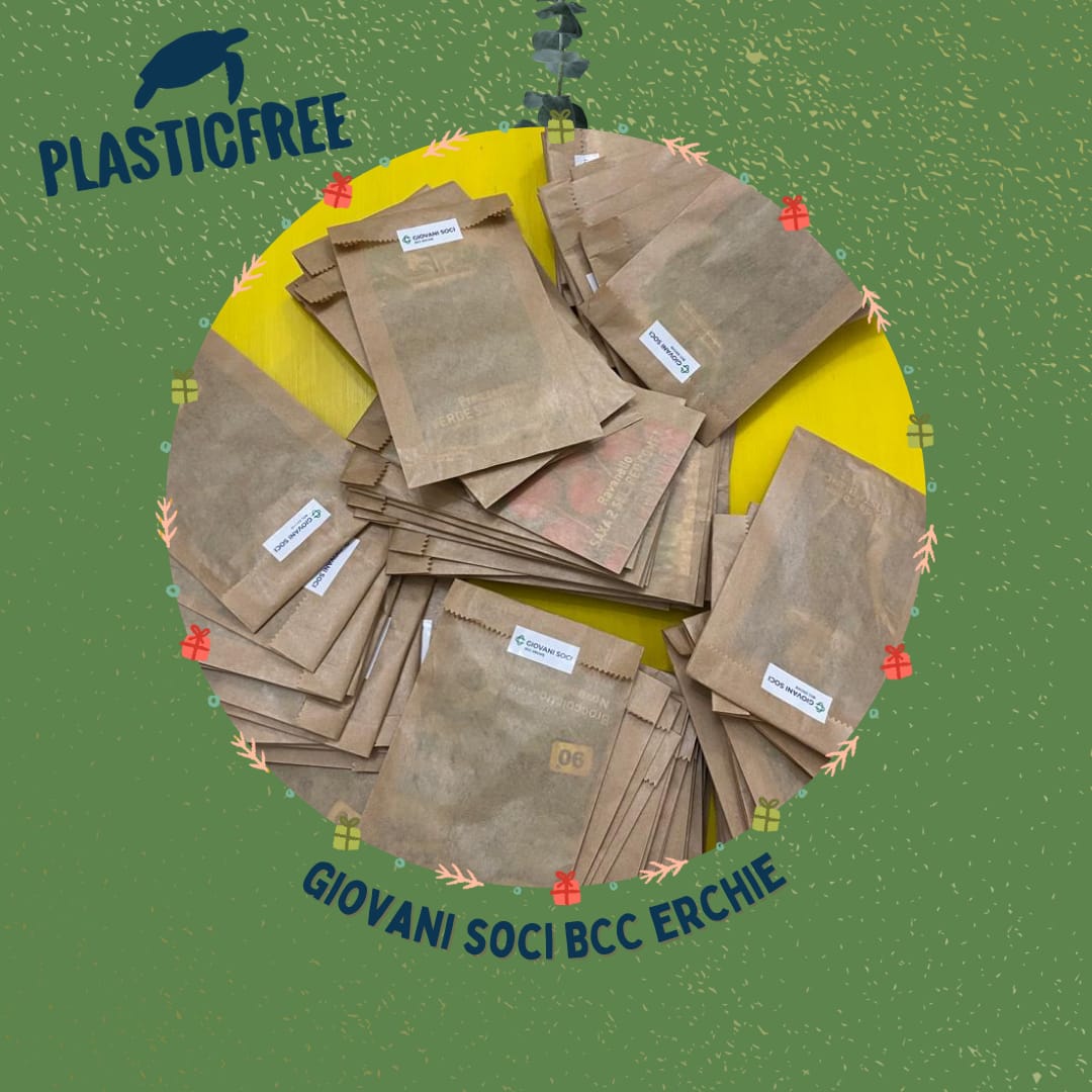 Featured image for “Plasticfree con i Giovani Soci della BCC Erchie”